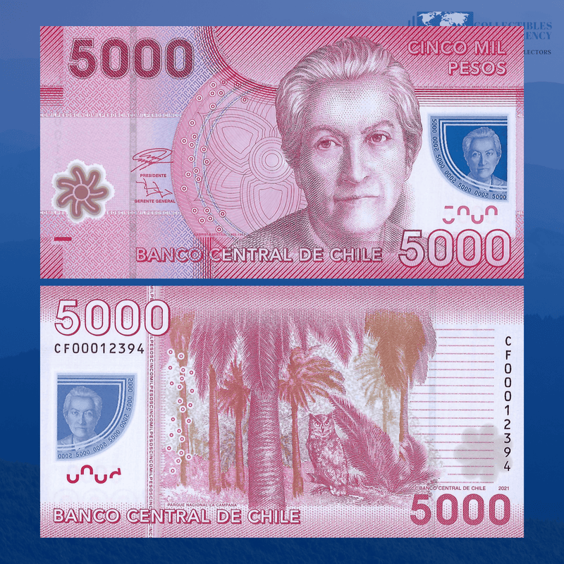 Chile Banknotes / Uncirculated Chile Set 5 Pcs 1000-2000-5000-10000-20000 Pesos 2016/2021 | P-161/165