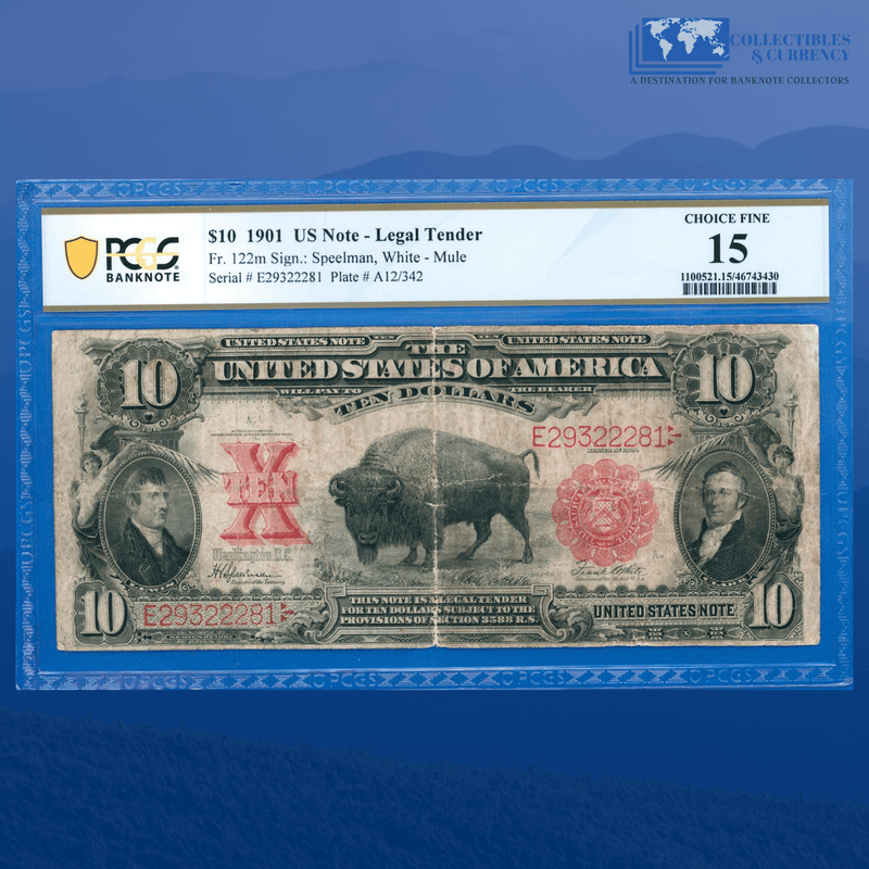 Copy of Fr.122 1901 $10 Ten Dollars Bill Mule "BISON" Legal Tender Note, PCGS