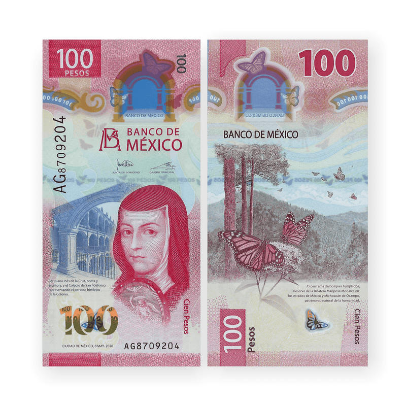 Mexico Banknote / Uncirculated Mexico 2020 100 Pesos | P-New (IBNS Banknotes of Year 2020)