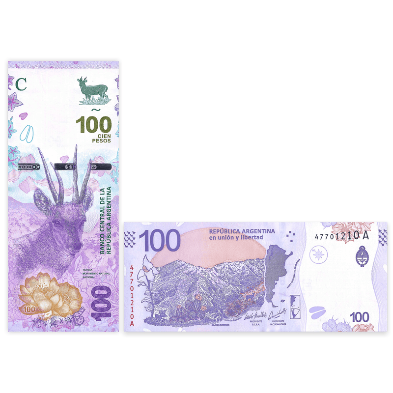 Argentina Banknote / Uncirculated Argentina 2018 100 Pesos | P-NEW