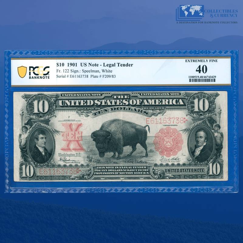 Copy of Fr.122m 1901 $10 Ten Dollars Bill Mule "BISON" Legal Tender Note, PCGS 12
