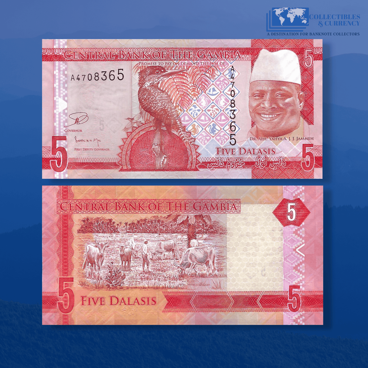 Gambia 2019 Full Set Banknotes – 5, 10, 20, 50, 100, 200 Dalasis, Uncirculated (6 Pcs)
