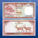 Nepal Banknotes / Uncirculated Nepal Set 7 Pcs 5-10-20-50-100-500-1.000 Rupees 2019/2020 | P-76/W82