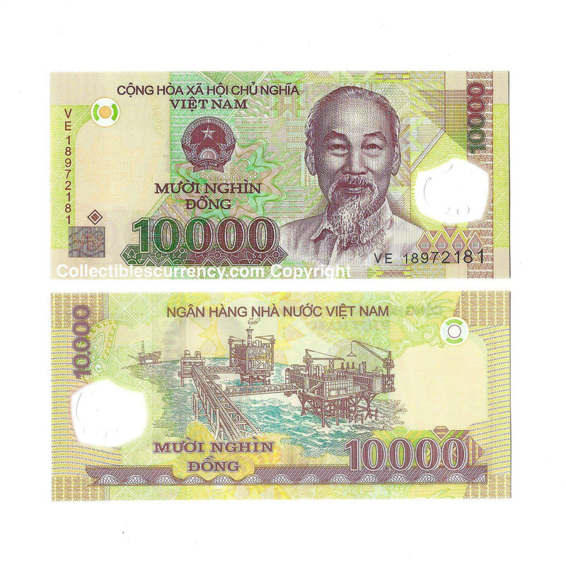 Vietnam Banknotes / Uncirculated Vietnam 10 000 Dong | P-119